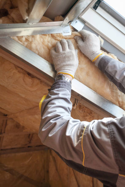 Best Insulation Maintenance and Repair in Thornton, CO